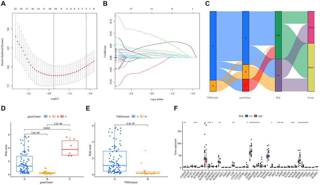Construction of the prognostic model for TMRGs in UVM. (A) TMRGs profiles based on LASSO coefficients; (B) LASSO coefficient values of the TMGRs in UVM; (C) Sankey diagrams of different status, risk score, gene cluster and TMG-associated cluster; (D) Risk score in the three gene clusters; (E) Risk score in the two TMG-associated cluster. (F) Differences in the expression of 40 TMRGs between different risk subgroups.