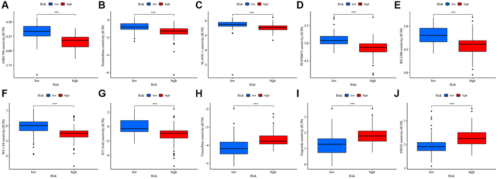 Drug sensitivity for TMRGs in UVM. (A–I) Correlations between the risk score and AMG. 706 (A), temsirolimus (B), SL.0101.1 (C), PF.4708671 (D), RO.3306 (E), WZ.1.84 (F), X17.AAG (G), Vinorelbine (H), Etoposide (I), and FH535 (J) sensitivity.