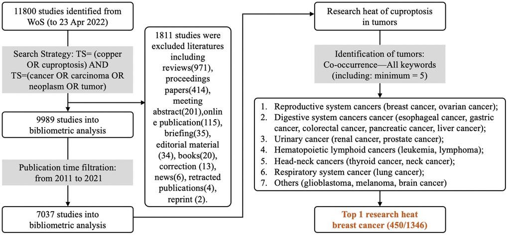 Bibliometric analysis process. WOS is used for researching copper(II)-related studies in tumors, using the search strategy “TS= (copper OR cuproptosis) AND TS= (cancer OR carcinoma OR neoplasm OR tumor)” for publications from 2011-2021, and only articles are collected until April 23, 2022, yielding 7037 articles.
