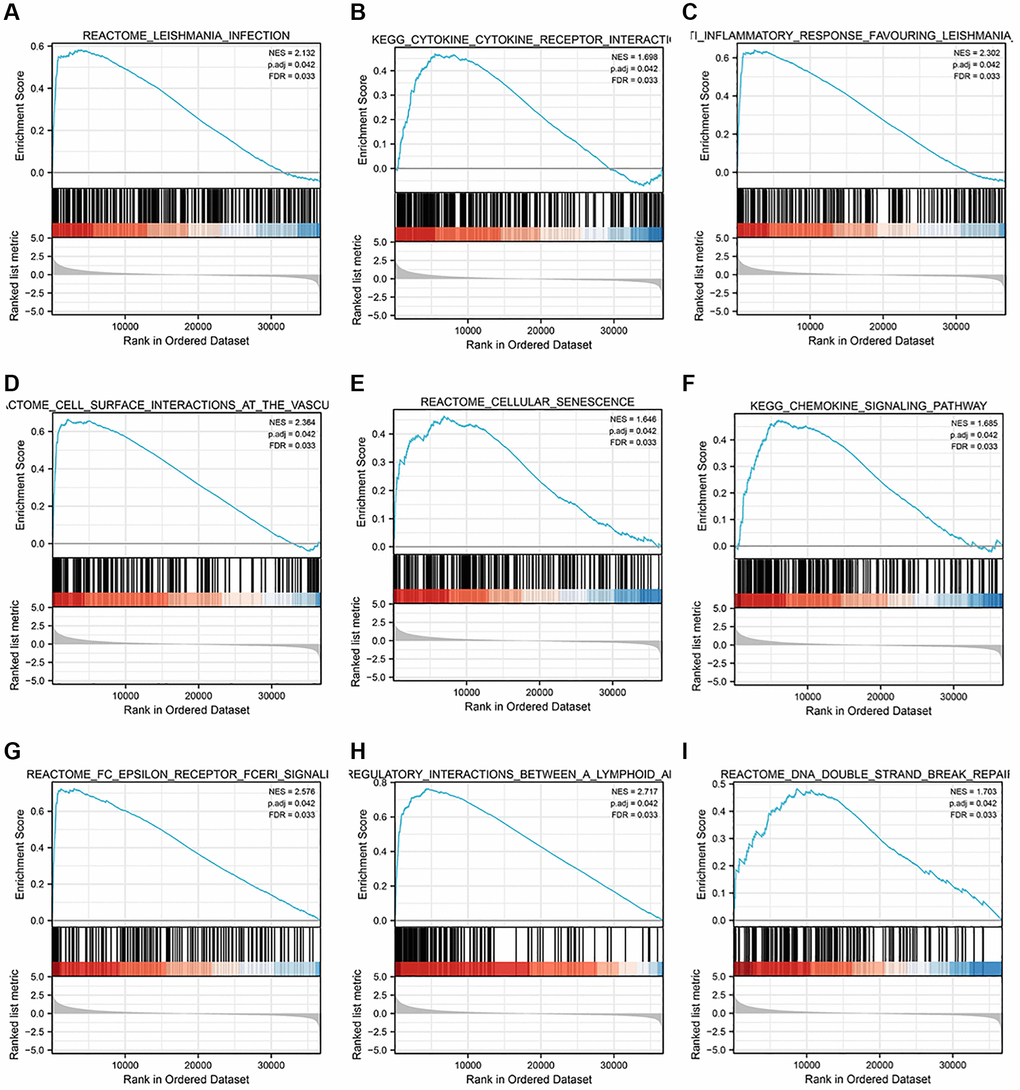 STK4-related functional enrichment analysis by GSEA. Top 9 highly enriched STK4-associated signaling pathways in ccRCC (A–I).