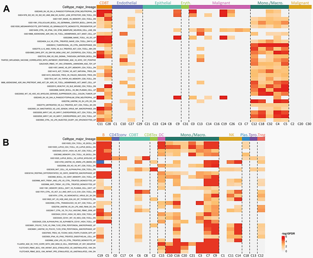 The impact of PGAM1 on the Tumor Immune MicroEnvironment (TIME) was investigated. Immunological analyses of immune infiltrates and immunosuppressants were carried out using GSE159115 and GSE121636 databases, respectively, as shown in (A). Furthermore, a heatmap was presented to depict the correlation between PGAM1 expression and lymphocytic infiltration in human cancers (B).