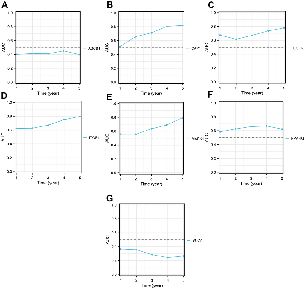 The time AUC curve of the high and low expression groups of Key genes in TCGA-PAAD. The AUC of ABCB1 (A) is less than 0.5 over time, which indicates they were protective factors, and the closer the AUC value is to 0, the better the prediction performance. The AUC of CAP1 (B), EGFR (C), ITGB1 (D), MAPK1 (E), and PPARG (F) are all over than 0.5 over time, which indicates they were risk factors, and the closer the AUC value is to 1, the better the prediction performance. The AUC of SNCA (G) is also less than 0.5 over time. The X-axis represents time, and Y-axis represents the AUC value. TCGA, The cancer genome atlas; AUC, Area Under Curve.