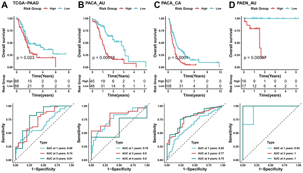 Validation of risk models using external data sets. (A) KM curve (top) of TCGA-PAAD dataset, Time-dependent area under the receiver operating characteristic curve (AUC) at 1-, 3-, and 5-year in the A TCGA-PAAD (bottom); (B–D) KM curve (top), Time-dependent area under the receiver operating characteristic curve (AUC) at 1-, 3-, and 4-year in the B PACA