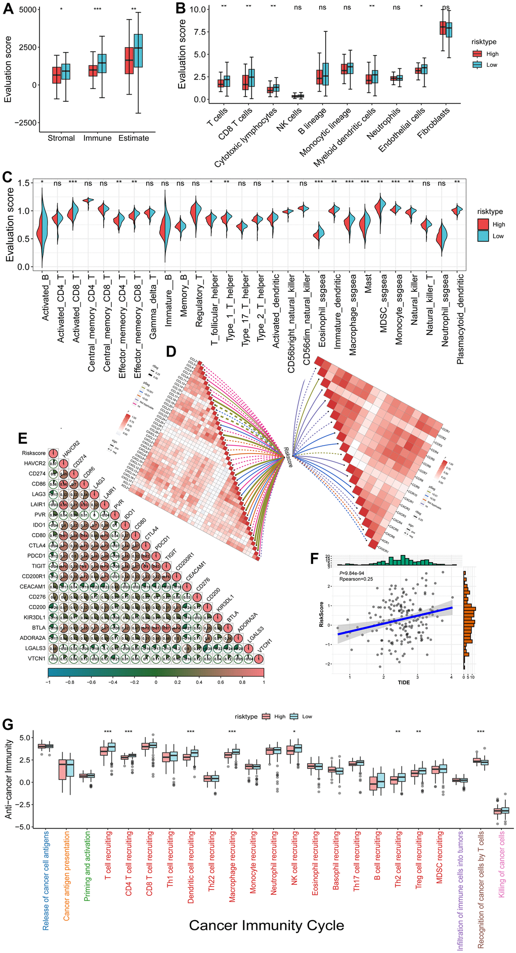 Immune microenvironment analysis in high and low risk groups. (A) Comparison of the Estimate score in high and low-risk groups; (B) MCP-counter immune cell infiltration score was compared between high and low-risk groups; (C) The ssgsea calculated 28 kinds of immune cell infiltration scores in high and low-risk groups. (D) Correlation analysis between risk score and chemokines and receptors; (E) Correlation analysis between risk score and 20 kinds of immune checkpoints; (F) Correlation analysis between risk score and TIDE score (immune escape); (G) TIP calculated comparison of tumor immune cycle step scores in high-low risk groups. *