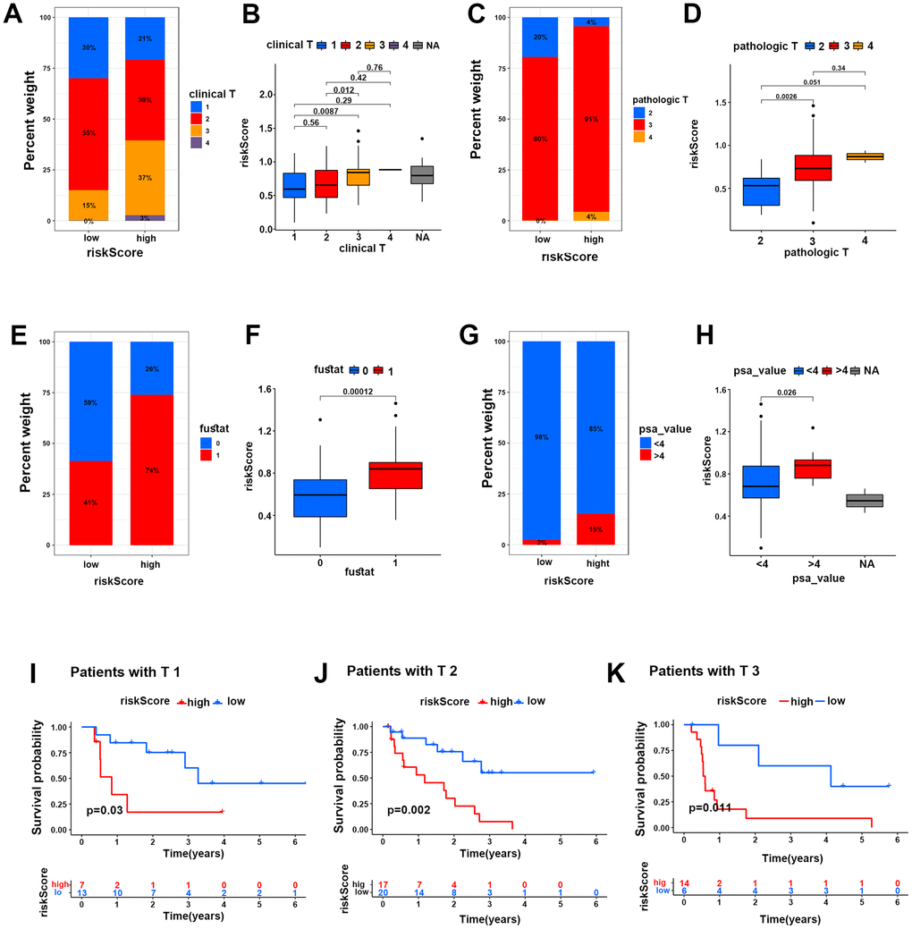 The HR risk group predicted poor clinical characteristics of PCa patients. (A–H) Percent weights and risk scores of clinical T grades (A, B), pathological T grades (C, D), fustat (E, F) and PSA values (G, H) of the two risk groups in the TCGA cohort. (I–K) Kaplan-Meier survival analysis for PCa patients with clinical T1, T2 and T3 grades in two risk groups in the TCGA cohort.