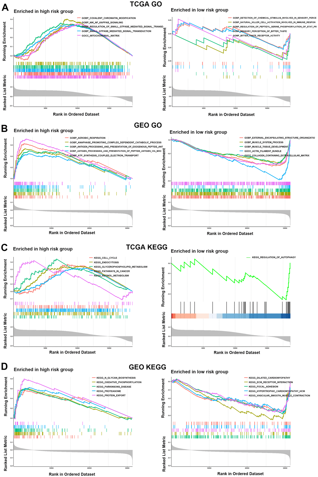 Functional enrichment analysis for the two risk groups. (A, B) GO enrichment analysis for two risk groups in the TCGA (A) and GEO (B) cohorts. (C, D) KEGG enrichment analysis in the HR and LR groups in the TCGA (C) and GEO (D) cohorts.