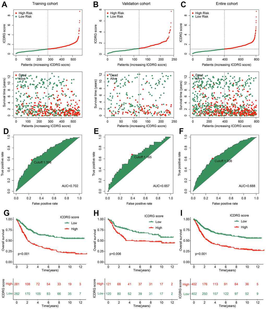 ICDRG score model construction and clinical prognosis analysis. (A–C) ICDRG score distribution in training, validation and entire cohorts. (D–F) ROC curve of ICDRG score. (G–I) Clinical prognostic outcome of GC samples in the training, validation and entire cohorts.