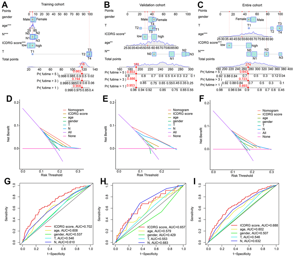 Development of nomogram based on the ICDRG score and clinical features in GC. (A–C) Nomogram construction based on the ICDRG score and GC-related clinical parameters in the training, test and entire cohorts. (D–F) DCA model shows the accuracy of ICDRG score and other GC-related clinical parameters in evaluating clinical prognosis for GC. (G–I) Diagnostic power analysis of ICDRG score and GC-related clinical parameters.