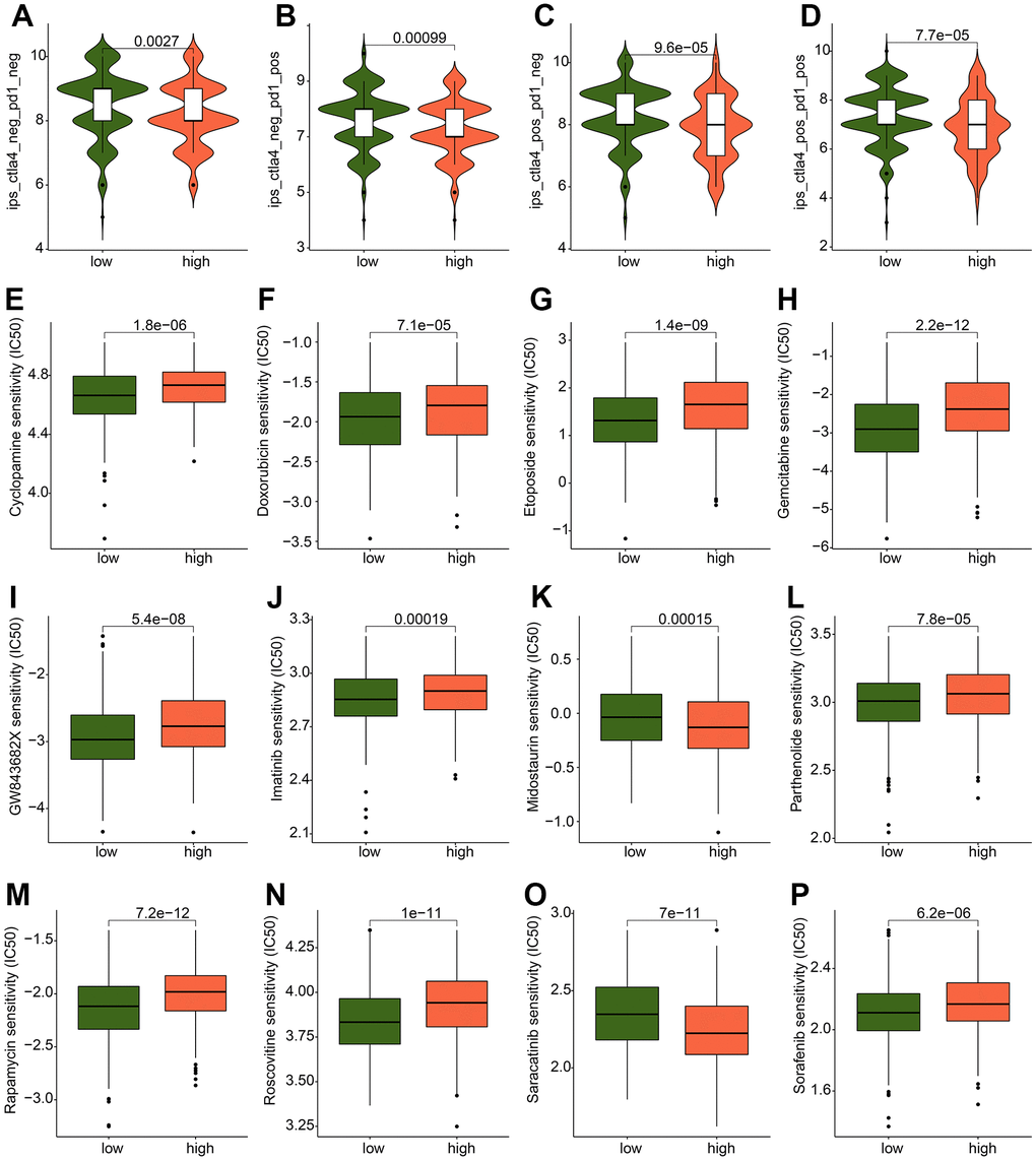 Drug sensitivity analysis between the ICDRG score subtypes. (A–D) IPS evaluation shows the response to PD-1 and CTLA-4 of GC in ICDRG score subtypes. (E–P) Prediction of chemotherapy drug for GC in ICDRG score subgroups.