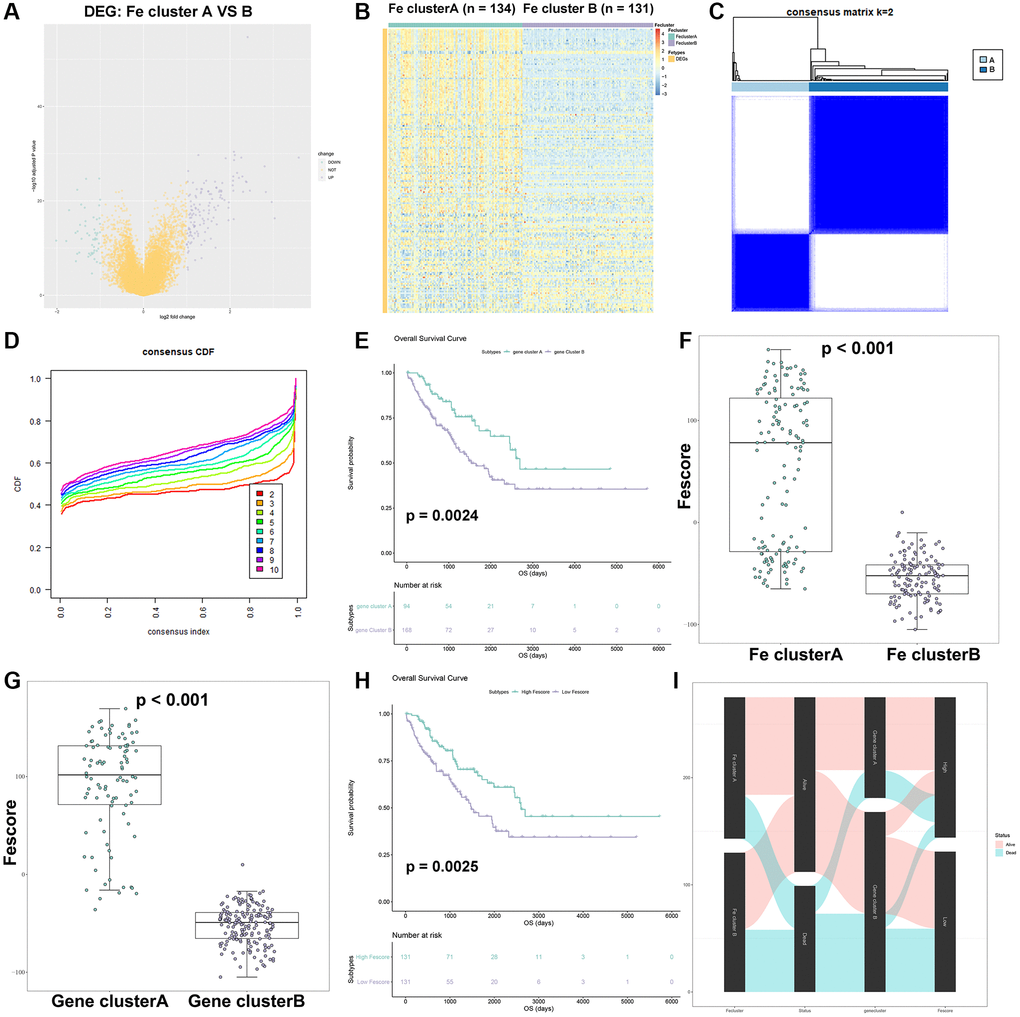 Construction of Fescore. (A) Volcano plot of DEGs between Fe cluster A and B. (B) The heatmap of expression of DEGs in Fe cluster A and B. (C) The result of consensus clustering analysis in STS based on 143 DEGs; The relationship between DEGs and these prognostic genes visualized as a Sankey diagram. (D) The cumulative distribution function plot in TCGA-SARC based on 143 DEGs. (E) Survival plot of gene clusters A and B in TCGA-SARC (p = 0.0024). (F) Comparison of Fescore among Fe clusters A and B. (G) Comparison of Fescore among gene clusters A and B. (H) Survival plot of high and low Fescore in TCGA-SARC (p = 0.0025). (I) The relationship between Fe clusters, gene clusters survival status and Fescore visualized as a Sankey diagram.