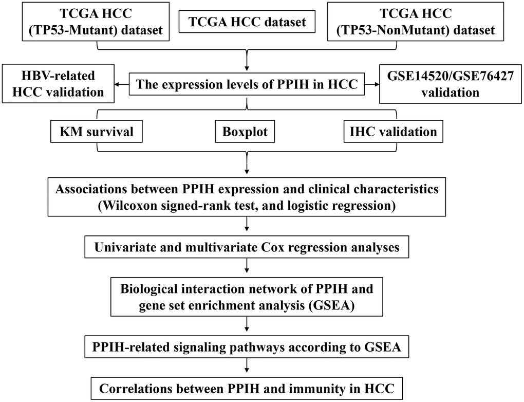 Flowchart of the whole study.
