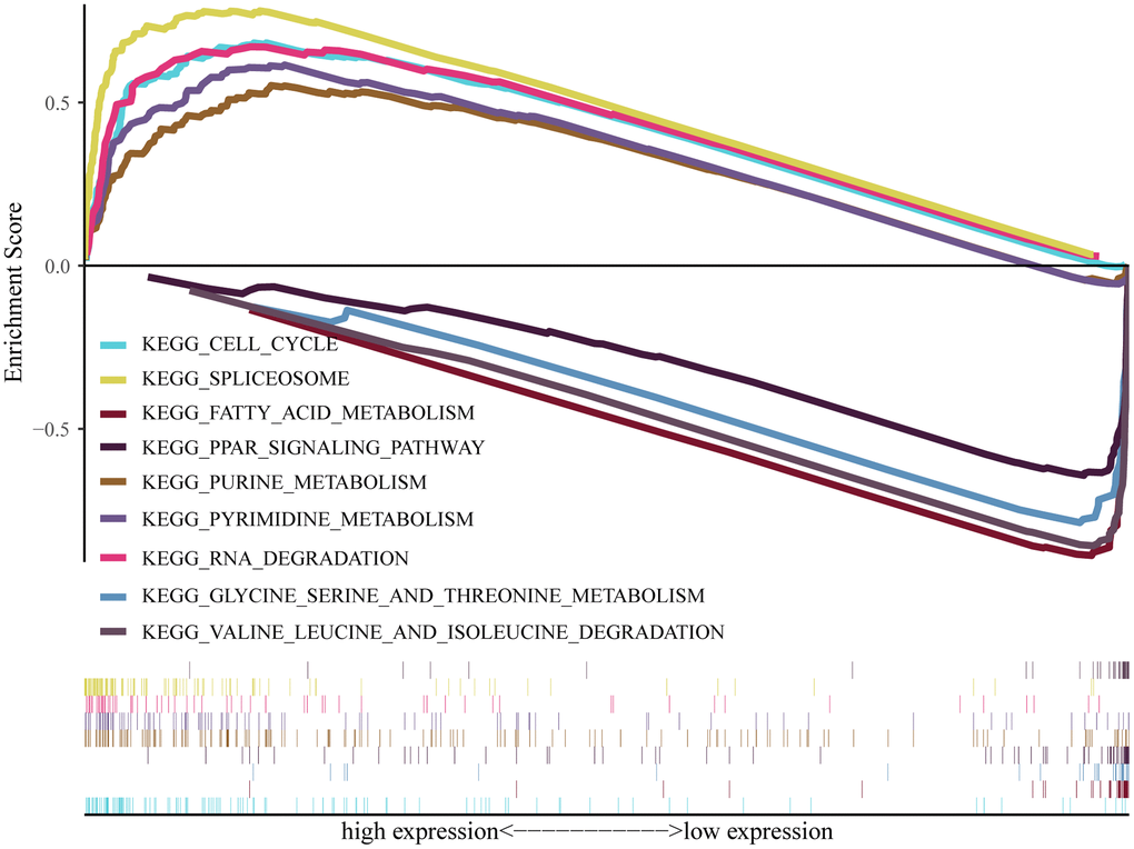 Pathway enrichment analysis of PPIH. Multiple-GSEA results showing pathways are differentially enriched in PPIH-related HCC. The cutoff criterion was set at p 