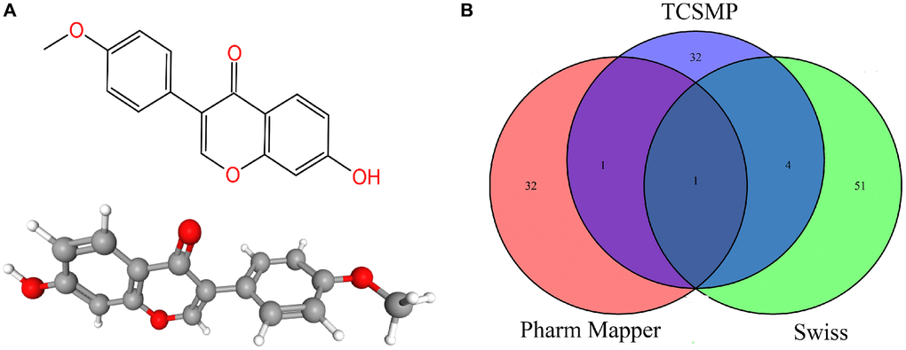 (A) The 2D and 3D chemical structure of formononetin. (B) The predicted targets of formononetin.