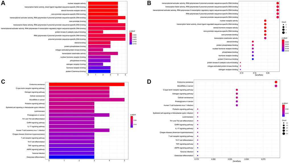 (A, B) The bar chart and bubble chart showing top 20 GO ID. (C, D) The bar chart and bubble chart showing the top 20 KEGG pathways of potential target genes of Form in OS.