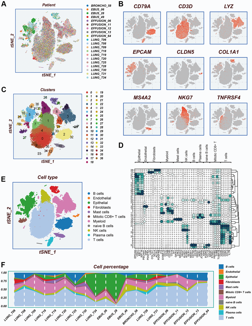 Notes on cellular subpopulations. (A) There was no significant batch effect on the cell distribution of the samples. (B) Show expression of typical cell type marker genes. (C) tSNE diagram of descending clustering binning. (D) A bubble chart showing the typical marker gene expression corresponding to each subgroup. (E) Cells are annotated into 11 different cell types. (F) The proportion of 11 cell types in different samples.