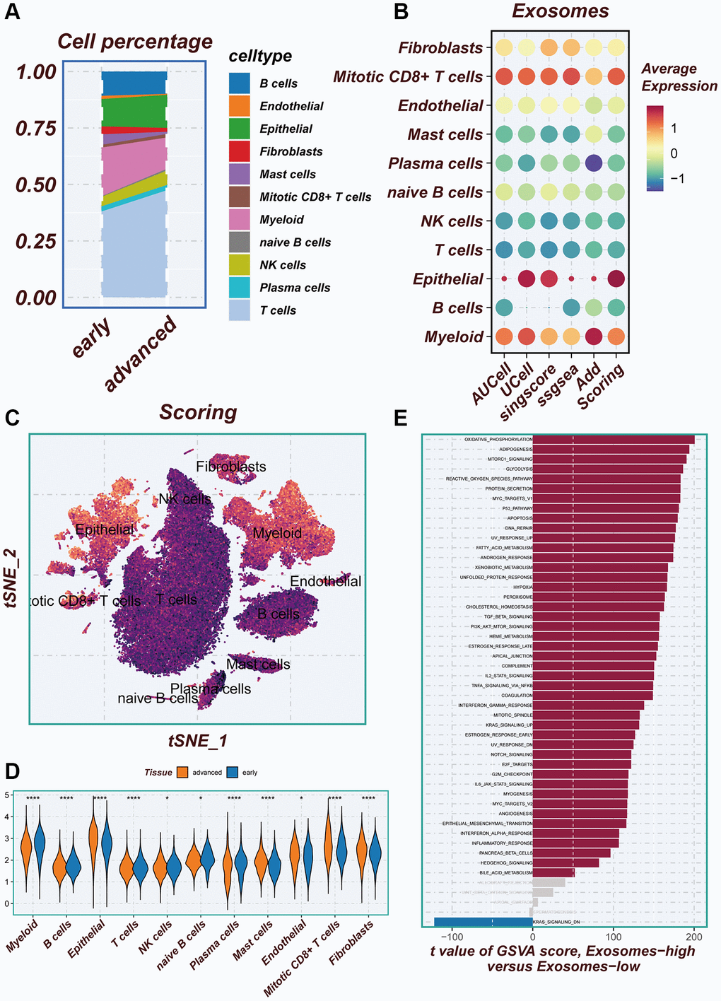 Illustrating the identification of differentially expressed genes through AUCell method. (A) Variations in the proportion of cells within the tissues of early-stage and advanced lung cancer were examined. (B) The average expression levels of ERGs were assessed in 11 cell types using five different scoring methods. (C) All cells were categorized into high- and low-groups based on their scores according to ERGs. (D) The levels of exosome-related genes between early-stage and advanced lung cancer tissues were compared. (E) The pathway of significant differences between the high- and low-groups of exosome levels was explored using hallmark gene sets.