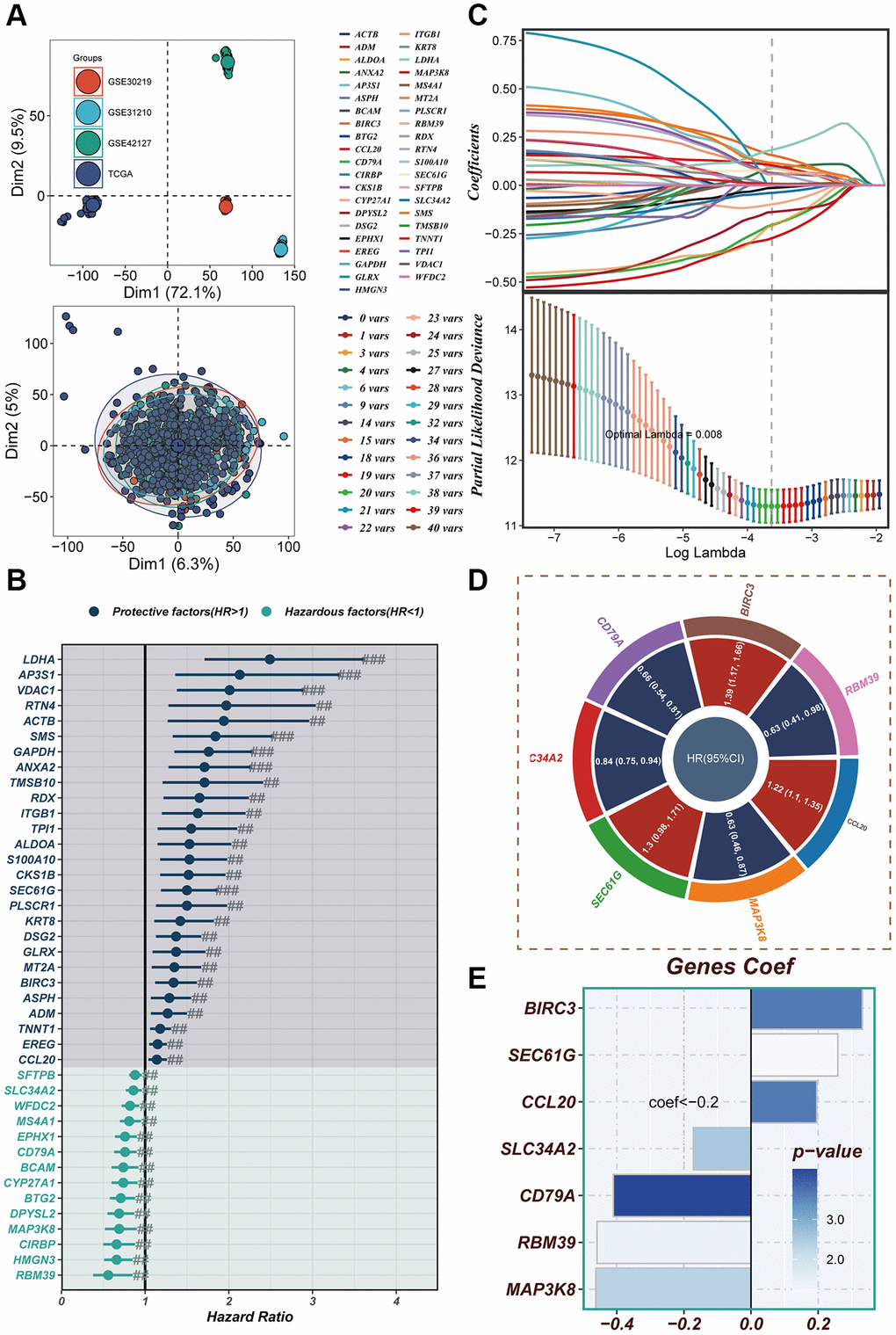 Construction of a risk model. (A) In both the TCGA cohort and GEO cohort, no significant batch effect was observed, and batch effect removal was performed. (B) Significant variables affecting prognosis were screened using LASSO regression. (C) The results of univariate COX analysis were presented in a forest plot. (D) Genes included in the risk model after multivariate regression analysis were illustrated in a circle plot. (E) The distribution of coefficient values of model genes was displayed.