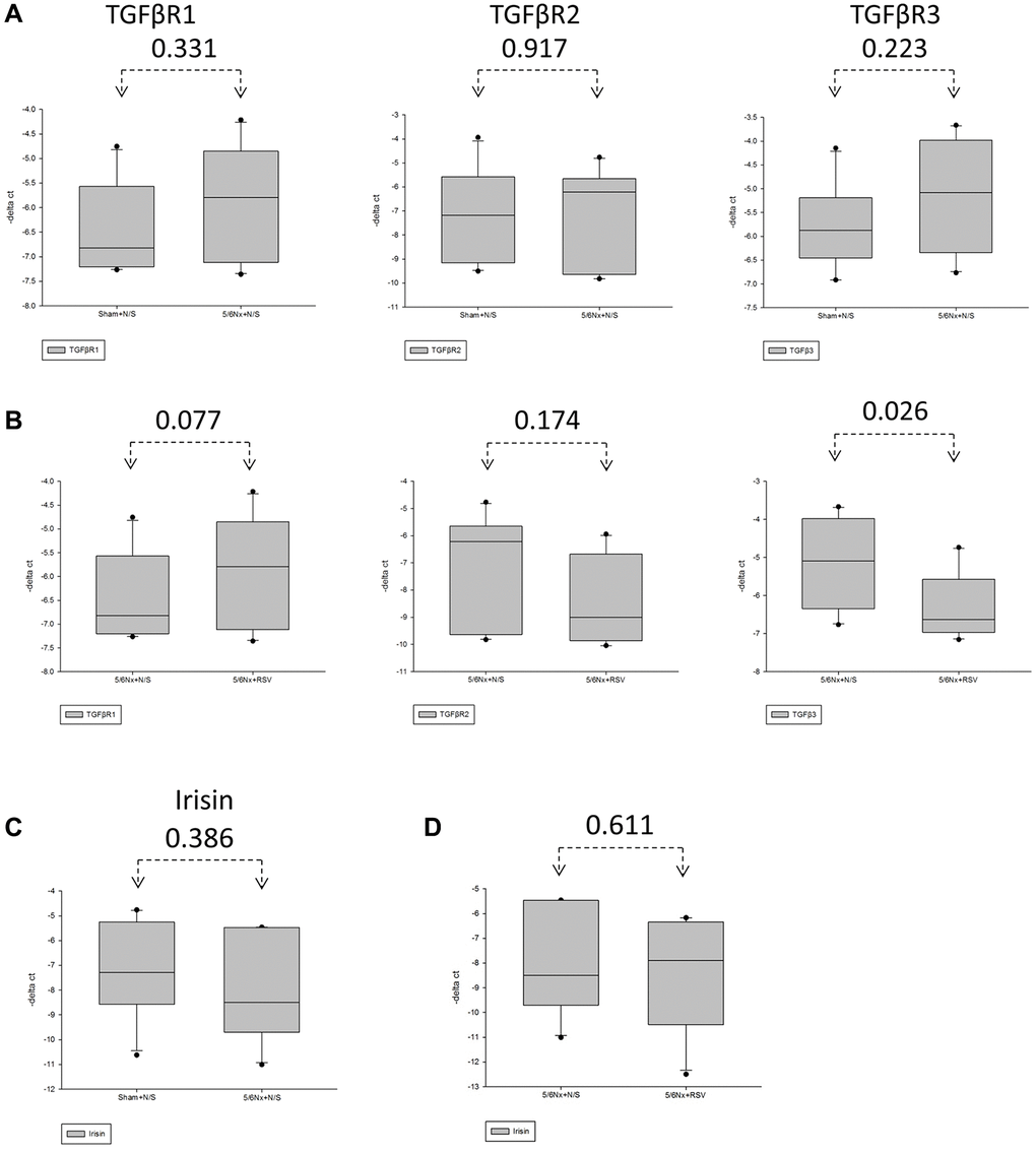 Expression of TGF-β receptor and irisin was downregulated in mice with 5/6 nephrectomy. (A, C) The expression of TGF-βR1, TGF-βR2 and TGF-βR3 in the gastrocnemius in between the sham group and the 5/6 nephrectomized mice through real-time PCR. (B) Expression of TGF-βR1, TGF-βR2 and TGF-βR3 in 5/6 nephrectomized mice with and without resveratrol (RSV) treatment through real-time PCR. (C) Expression of irisin in sham group and the 5/6 nephrectomized mice through real-time PCR. (D) Expression of irisin in the 5/6 nephrectomized mice with and without RSV treatment through real-time PCR.