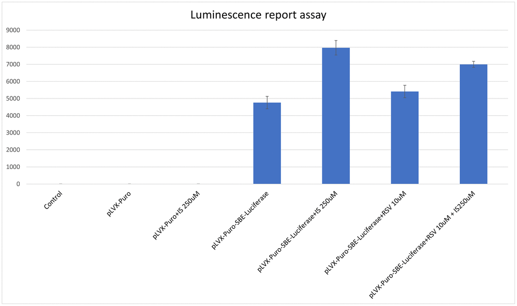 Expression of Smad increased in C2C12 cells treated with indoxyl sulfate. SMAD Luciferase reporter assays demonstrated the indoxyl sulfate increased the SMAD expression at concentration of 250 uM (p *p 