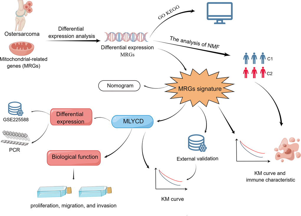 Flow chart of the program process.