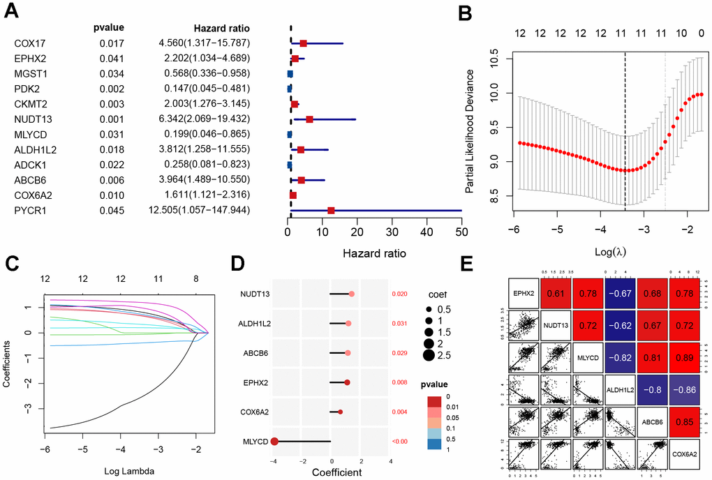 Construction of mitochondrial-related gene signature. (A) Univariate analysis of potential prognostic factors. (B, C) Lasso regression for MRGs in univariate Cox regression. (D) The coefficients and P-value of the six MRGs. (E) Correlation diagram of six gene expression levels.