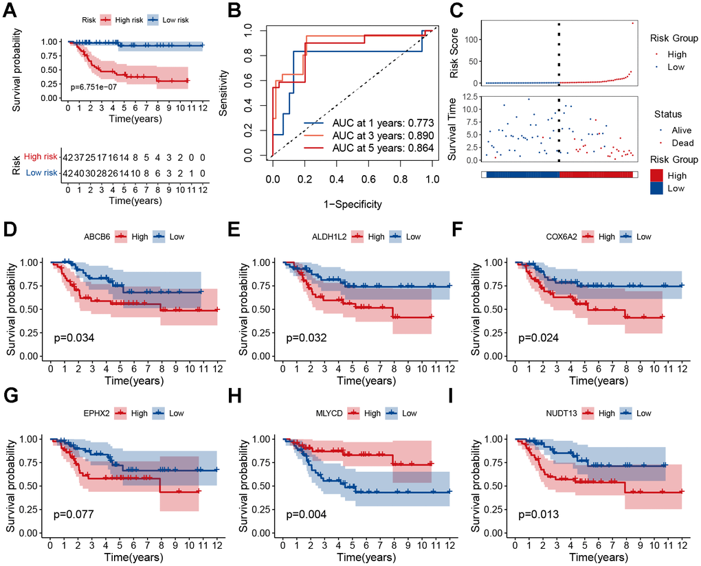 Prognostic analysis of the MRGs signature. (A) Kaplan–Meier survival curve analysis of patients in the high-risk group and low-risk group. (B) The AUC of time-dependent ROC curves. (C) The distributions of survival status and risk score. (D–I) Kaplan–Meier survival analysis of single genes in the TARGET cohort.