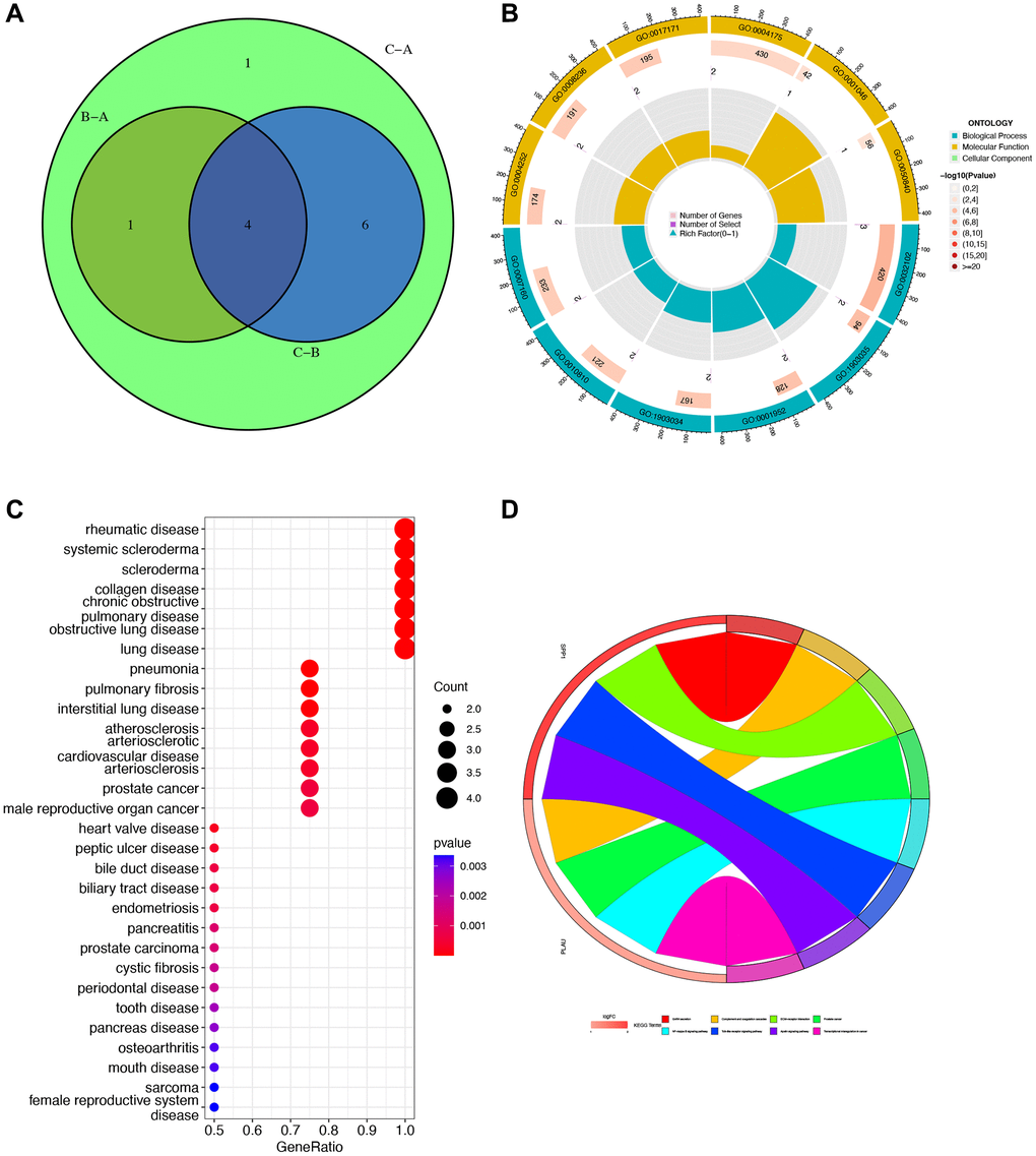 Gene Ontology (GO), Kyoto Encyclopedia of Genes and Genomes (KEGG), and Disease Ontology (DO) enrichment analyses. (A) Venn diagram for obtaining hub genes by taking the intersection. (B) GO enrichment analysis circle showing gene’s biological process, molecular function, and cellular component. (C) DO analysis of the relationship between cancers and gene ratio. (D) KEGG pathway map. Different colors represented different pathways, and the value of logFC represented the degree of expression.