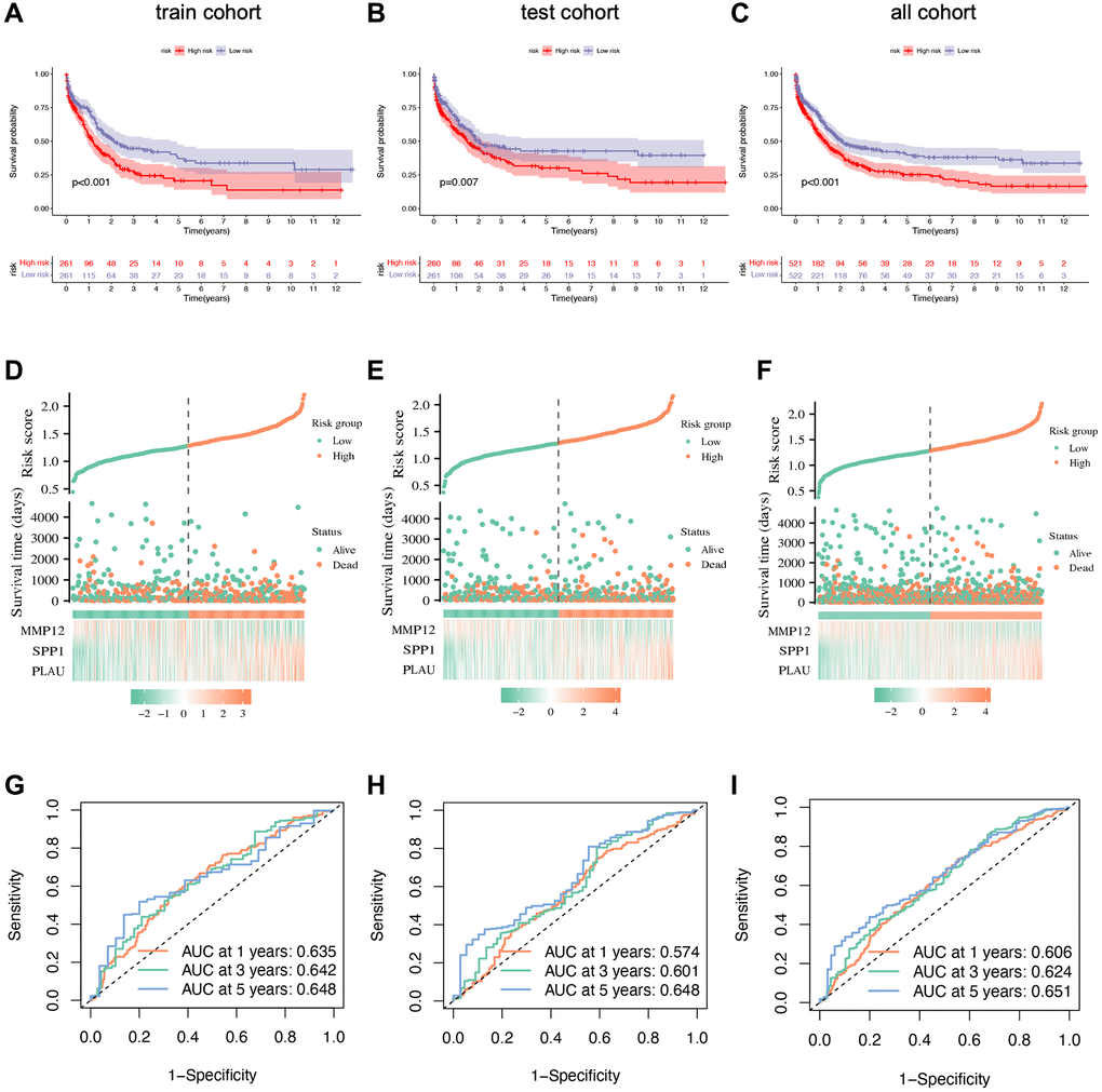 Prognostic validation of risk signature. (A–C) Kaplan–Meier survival analysis with p-value D–F) Scatter plots showing the relationship between risk score and survival time. (G–I) ROC curve to predict the accuracy of the patient's one-year, three-year, and five-year survival rate.