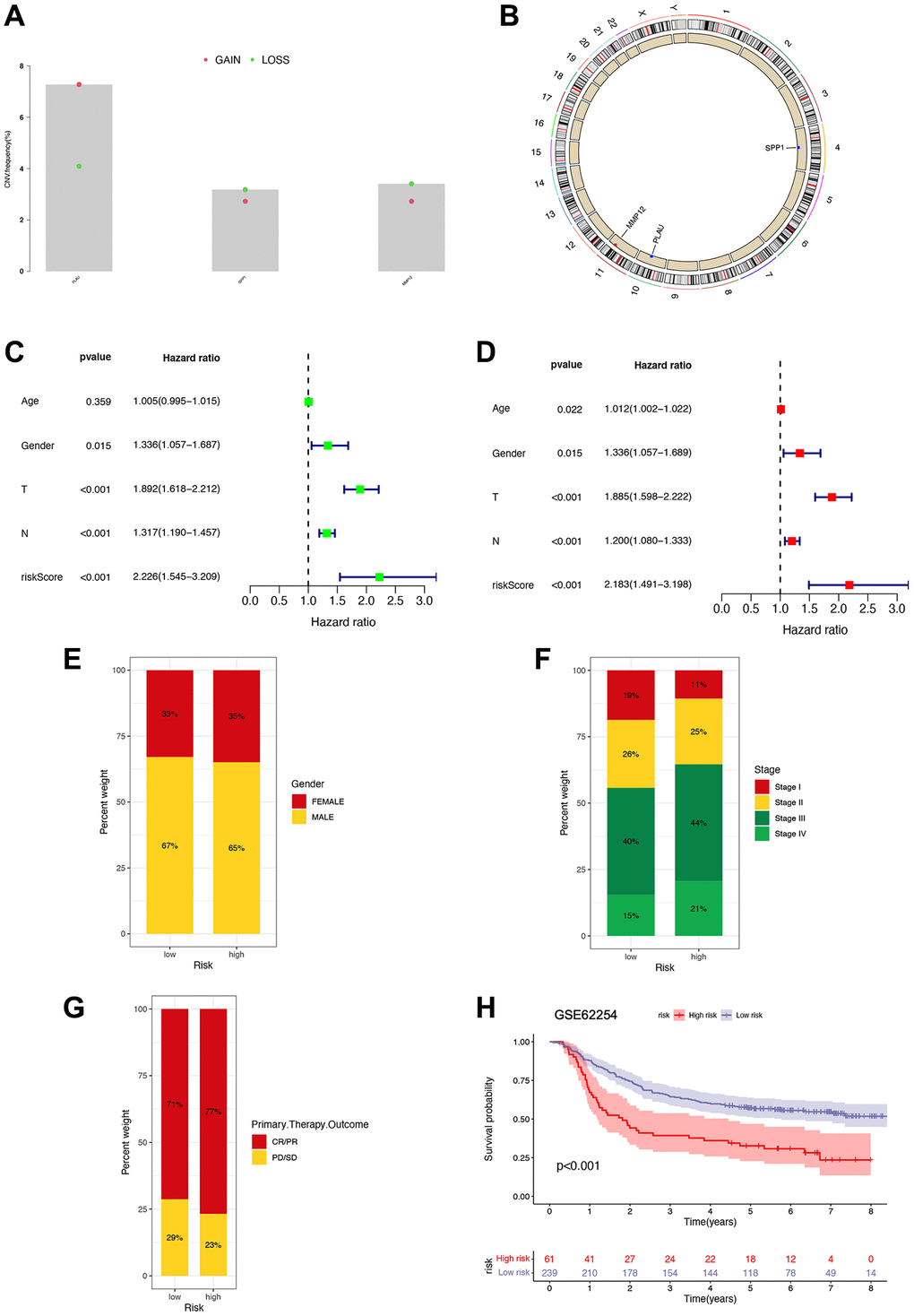 Prognostic implications of risk signature. (A) Copy number variation frequency analysis with red dots representing copy number gains and green dots representing copy number deletions. (B) Copy number circle diagram. The outer circle was the chromosome, and the inner circle was marked with three IRGs. The red dots indicated that the copy number of this gene was increased, and the blue point indicated that the copy number of this gene was more deleted. (C, D) Univariate and multivariate Cox regression analyses in the combined cohort. (E–G) The proportion of patients with different gender, stage, and primary therapy outcome in high- and low-risk groups. (H) Survival analysis of patients in high- and low-risk groups based on GSE62254 gene.