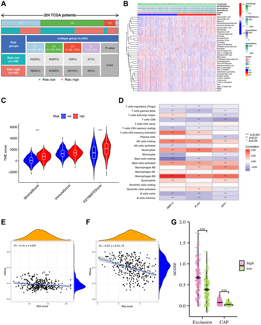 Tumor microenvironment characteristics (TME) analysis. (A) The clinical correlation analysis showing the number and percentage of patients with each clinical trait in the high- and low-risk groups. (B) Immune cell infiltration analysis. (C) Analysis of tumor microenvironment differences. *** indicating that tumor microenvironment scores are different between high- and low-risk groups. (D) Analysis of immune cell abundance and gene correlation degree. ***p **p *p E, F) Risk score and DNA, RNA stemness analysis. Analysis of differences in scores of CAF and other TME populations in high- and low-risk groups. (G) Risk score divided differential immune exclusion cells and cancer-associated fibroblasts (CAFs) abundance.