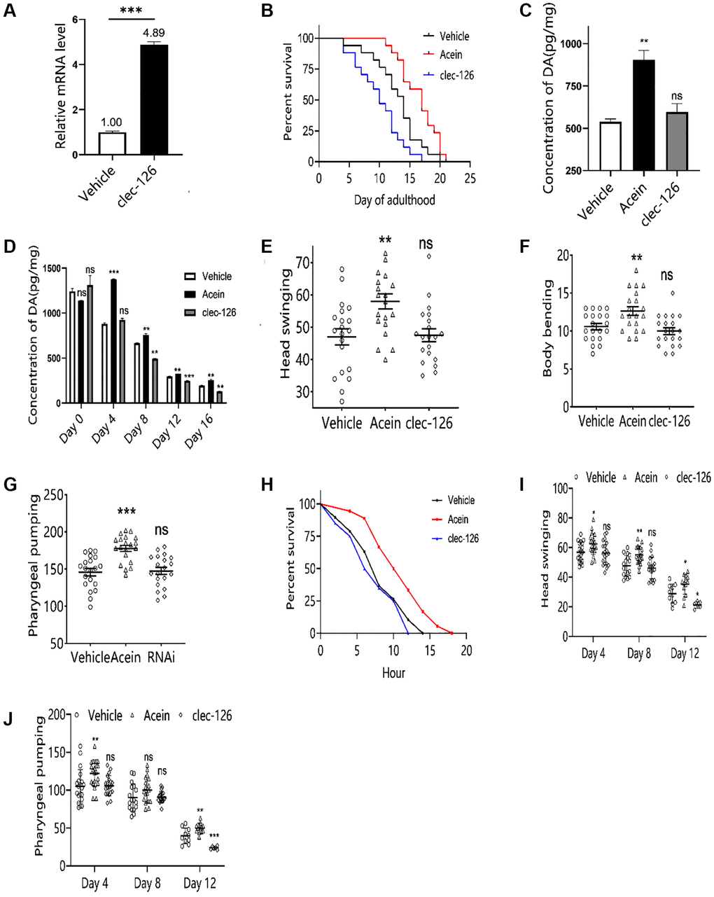 Aging-associated phenotypic assay results in C. elegans overexpressing clec-126. (A) qPCR validation results of C. elegans overexpressing clec-126. (B) Lifespan experiments of C. elegans overexpressing clec-126. (C) Dopamine changes in C. elegans at 48 h. (D) Changes in dopamine levels in C. elegans with age. (E) Head swing in C. elegans overexpressing clec-126. (F) Body bending in C. elegans overexpressing clec-126. (G) Pharyngeal pumping in C. elegans overexpressing clec-126. (H) Survival curve of Day 8 C. elegans overexpressing clec-126 in a thermostressed environment at 35°C. (I) Head swing in C. elegans overexpressing clec-126 of different age groups. (J) Detection results of pharyngeal pumping frequency in C. elegans overexpressing clec-126 of different age groups. Compared with the vehicle group. nsp > 0.05, *p **p ***p 