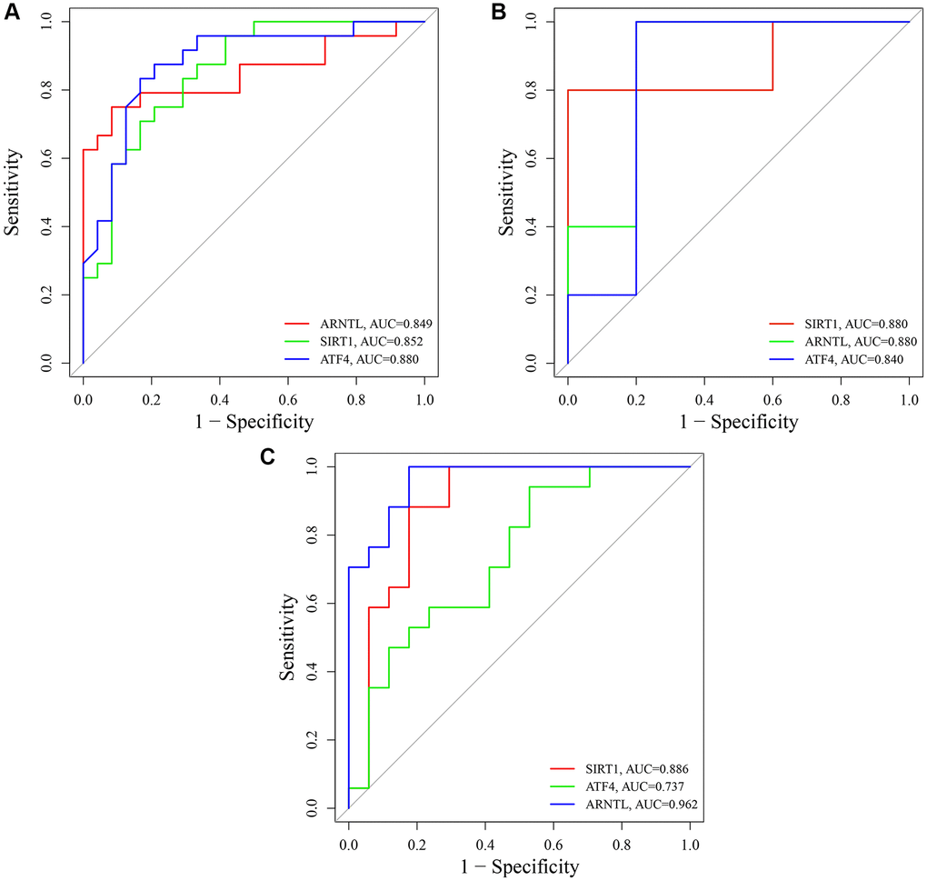 Receiver operating characteristic (ROC) analysis of SIRT1, ARNTL and ATF4. (A) ROC curves of SIRT1, ARNTL and ATF4 in training set GSE85358. (B) ROC curves of SIRT1, ARNTL and ATF4 in validation set GSE39170. (C) ROC curves of SIRT1, ARNTL and ATF4 in validation set GSE120783.