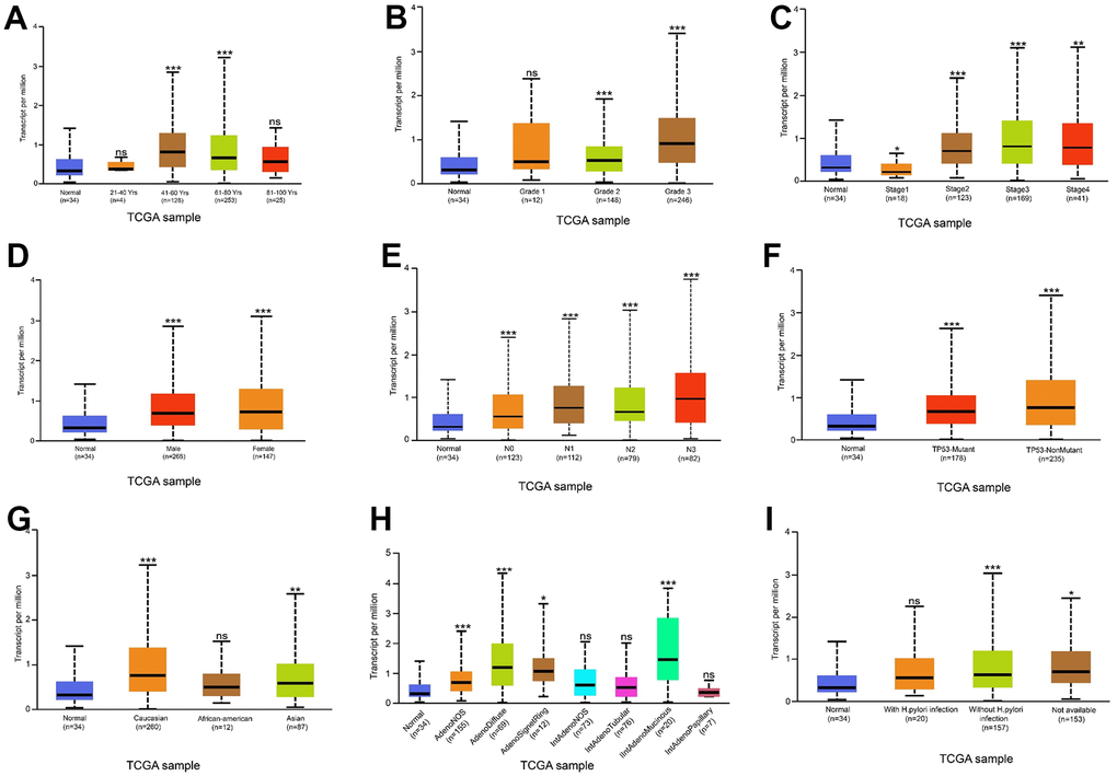 Relationship between THSD7A expression and clinical characteristics. Relationship between THSD7A expression and age (A), grade (B), stage (C), sex (D), lymph node metastasis stage (E), TP53 mutation (F), ethnicity (G), histological subtypes (H) and Helicobacter pylori infection (I) (*: P0.05). (Normal is the control group.)