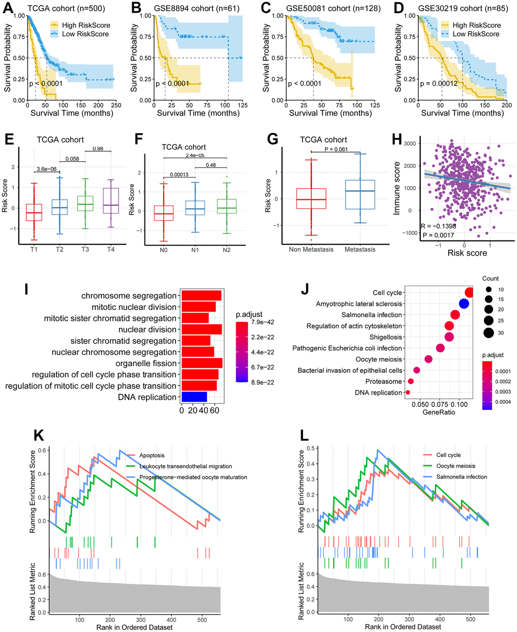 Clinical significance of the eight-gene signature. (A–D) The low-risk group had a better survival time as compared with the high-risk group in the TCGA cohort, the GSE8894 cohort, the GSE50081 cohort, and the GSE30219 cohort. (E–G) The levels of risk score were significantly augmented in patients with higher TNM staging. (H) Risk score was negatively correlated with immune score (P = 0.0017, R = -0.1398). (I–L) Multiple biological processes related to tumor progression were significantly enriched, including DNA replication, cell cycle, chromosome segregation, and nuclear division.