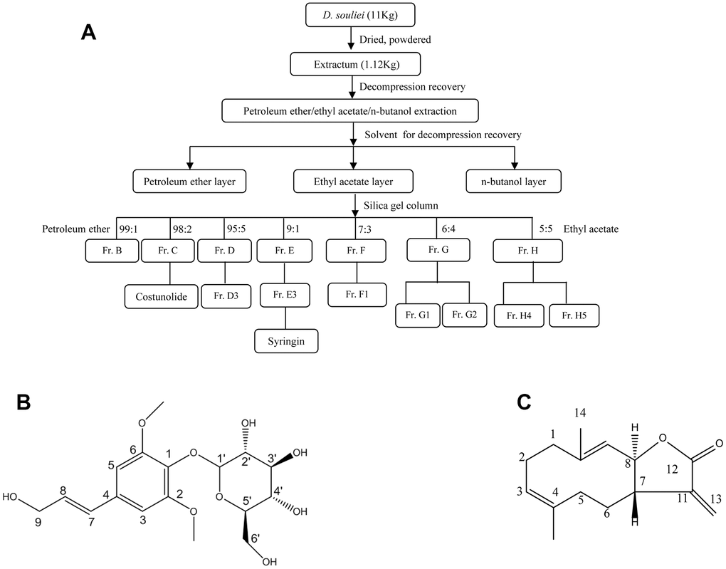 (A) The separation process diagram of syr+cos that derived from D. soulei and (B) chemical structure of syr. (C) Chemical structure of cos.