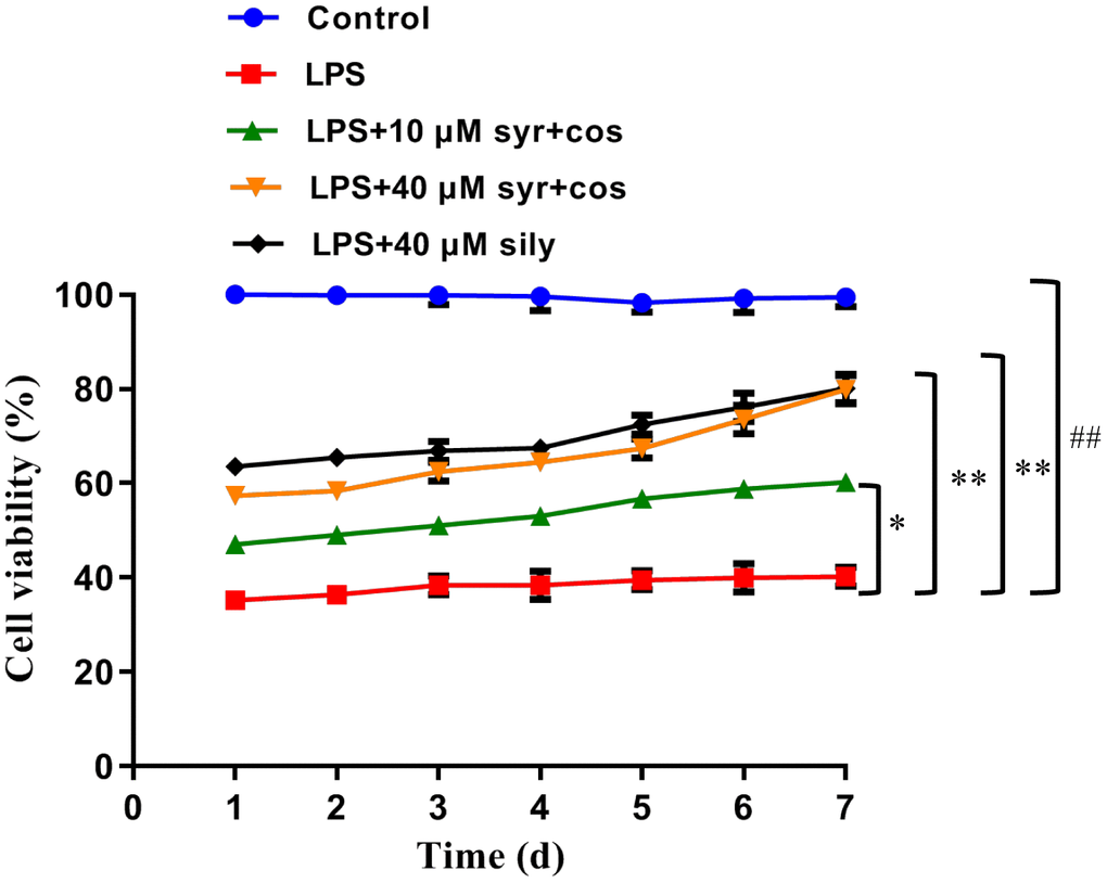 Effects of syr+cos on the cell viability of L-02 cells. Note: The data represent the mean ± SD per group. **P *P ##P 