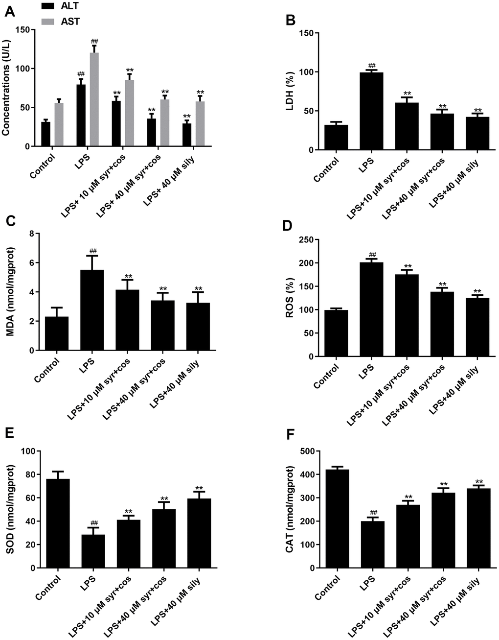 Effects of syr+cos on liver function (A) ALT, AST, (B) LDH and indicators related to oxidative stress (C) MDA, (D) ROS, (E) SOD and (F) CAT respectively. Note: The data represent the mean ± SD (n = 5) per group. **P ##P 