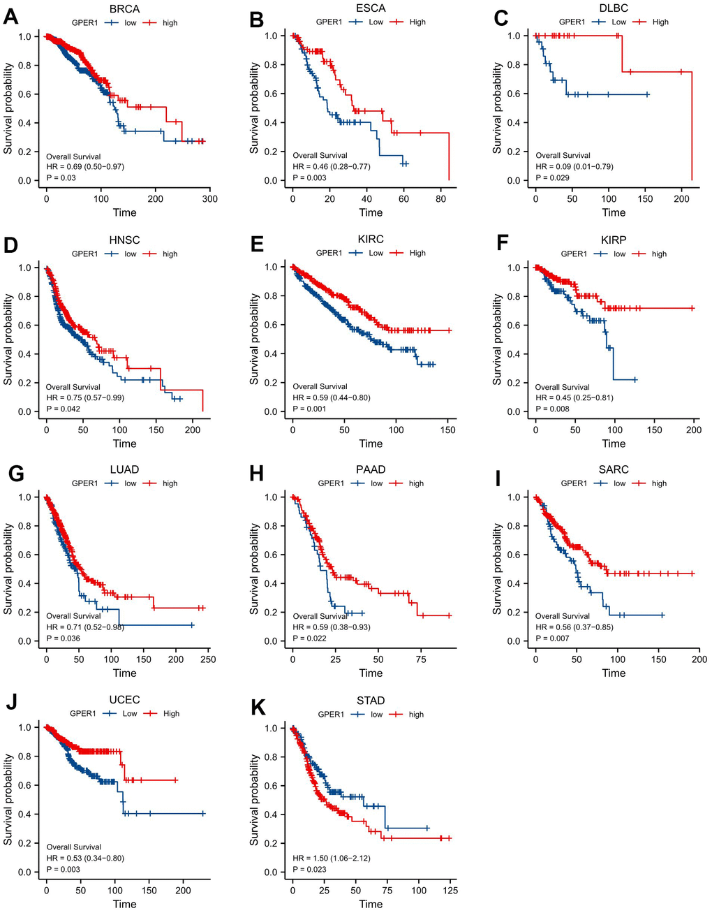 Correlations between GPER1 and prognosis in 11 cancer types. OS K-M curve for GPER1 11 cancer types. The unit of X-axis is month. (A) BRCA, (B) ESCA, (C) DLBC, (D) HNSC, (E) KIRC, (F) KIRP, (G) LUAD, (H) PAAD, (I) SARC, (J) UCEC, (K) STAD.