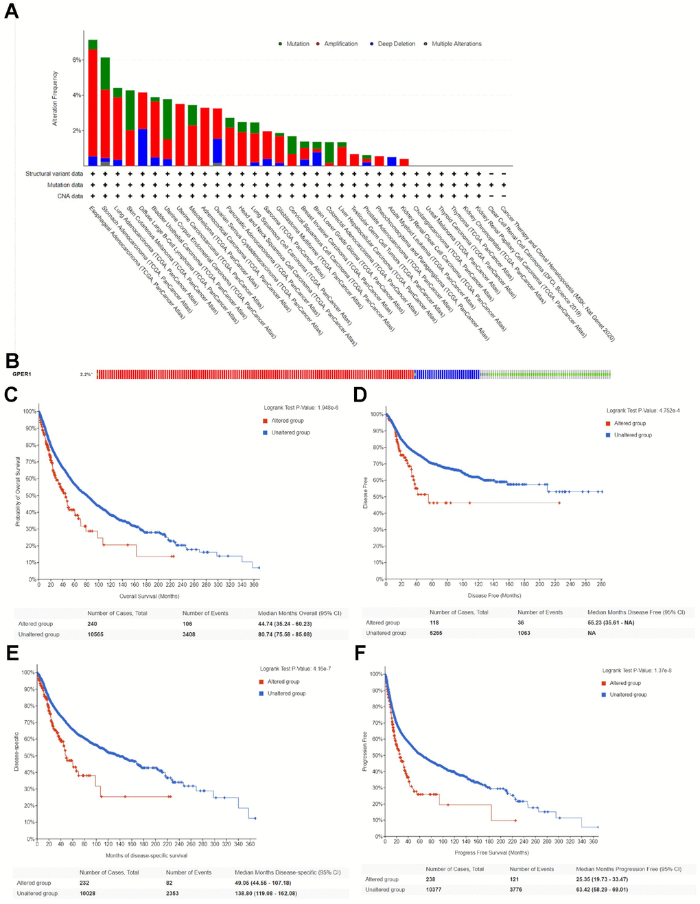Genetic alteration of GPER1 in pan-cancer. (A) Bar chart of GPER1 mutation in pan-cancer based on TCGA database. (B) The alteration frequency with different types of GPER1 gene mutations in pan-cancer. Kaplan-Meier curve of (C) OS, (D) DSS, (E) DFS, (F) PFS in pan-cancer patients with altered (red) and unaltered (blue) mRNA expression of the GPER1 gene.
