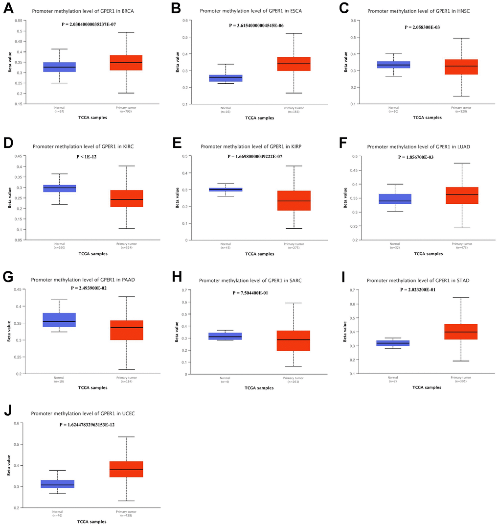 Promoter methylation level of GPER1 between 10 types of cancer and normal tissue. (A) BRCA, (B) ESCA, (C) HNSC, (D) KIRC, (E) KIRP, (F) LUAD, (G) PAAD, (H) SARC, (I) STAD, (J) UCEC.