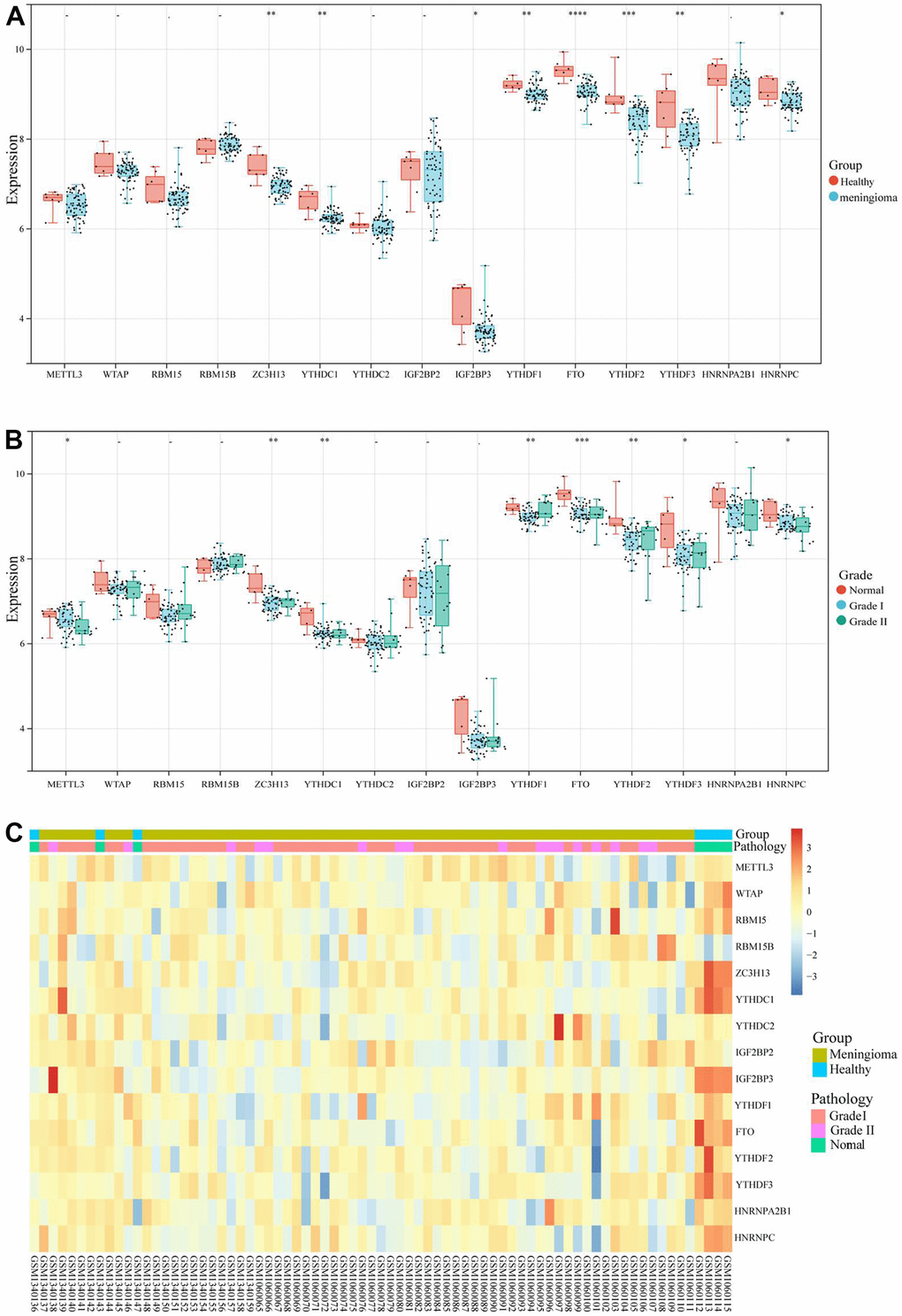 m6A regulatory genes expression level of GSE55609, GSE43290 datasets. (A) The expression levels of 15 m6A regulatory genes in healthy samples and meningioma samples. (B) The expression levels of 15 m6A regulatory genes in different WHO grades (Grade I, Grade II) meningioma samples and normal samples. (C) Heatmap of 15 m6A regulatory genes expression level. *