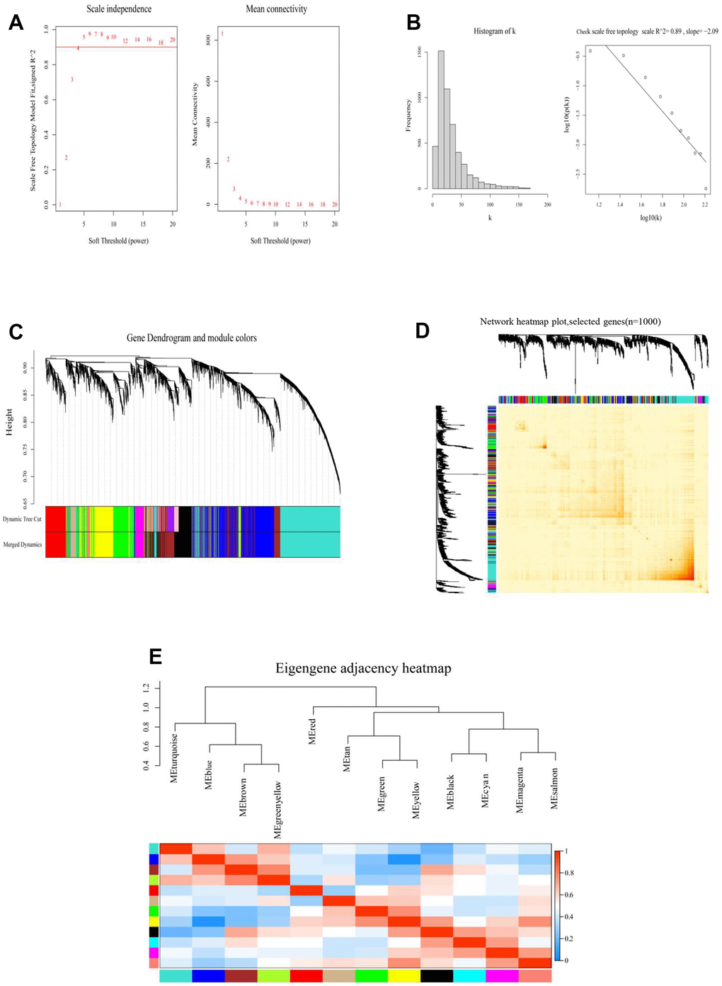 Constructed a RiskScore-based gene co-expression network through WGCNA. (A) Analyzed the scale-free fitting index of various soft threshold powers (β) (left). Analyzed the average connectivity of various soft threshold powers (right). (B) When β = 4, checked the scale-free topology. (C) According to cutheight = 0.2, the minimum number of genes was 30, the visualization of Gene Dendrogram and module colors, the dendrograms of all genes were clustered based on a dissimilarity measure (1-TOM). (D) Network heatmap plot (selected m6A genes, n=1000). (E) Eigengene adjacency heatmap of different modules.