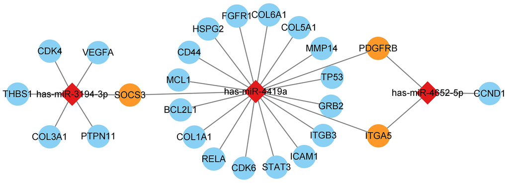 mRNA and miRNA interact in a network, with diamonds representing miRNA and circles representing mRNA. The blue circles represent hub genes regulated by one miRNA, while the orange circles represent hub genes regulated by two miRNAs simultaneously.