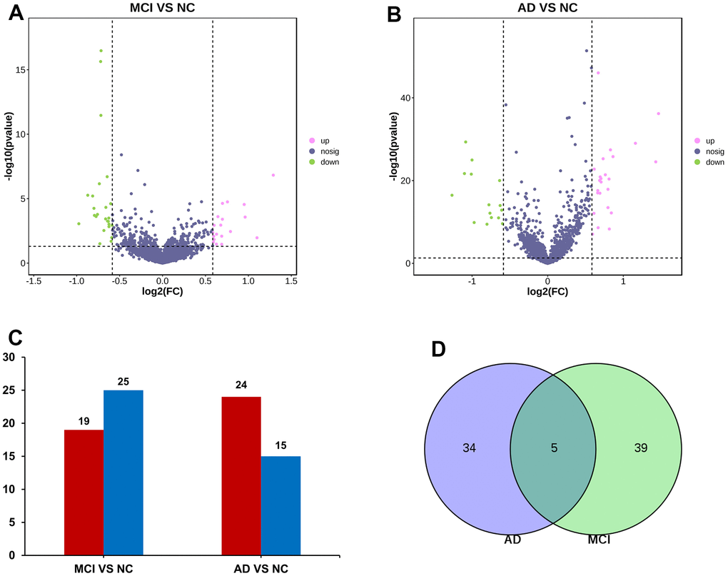 miRNA screening. (A) Volcano maps of miRNA differentially expressed in MCI. Red dots indicate up-regulated genes, P  1.5; Green dots indicate down-regulated genes, P B) Volcano maps of miRNA differentially expressed in AD. (C) Differential miRNA data statistics. (D) Venn diagram screened miRNAs that were differentially expressed in both MCI and AD groups.