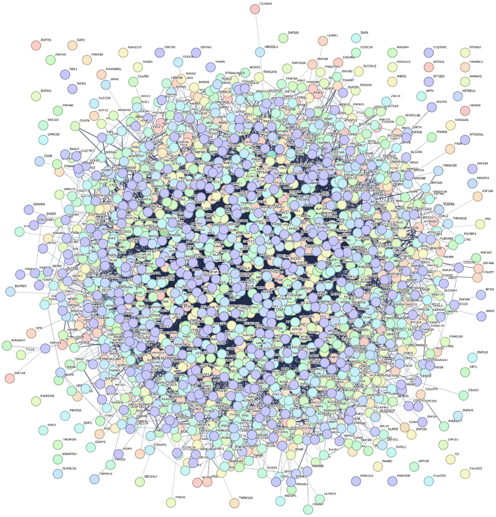 Five differential miRNAs (hsa-miR-208a-5p, hsa-miR-125b-1-3p, hsa-miR-3194-3p, hsa-miR-4419a, hsa-miR-4652-5p) PPI network constructed by STRING.