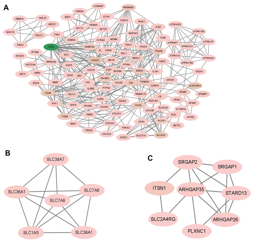 The module identified from the PPI network using the MCODE method (2). (A) The module 3 with an MCODE score of 5.764. (B) The module 4 with an MCODE score of 5.600. (C) The module 5 with an MCODE score of 4.286. MCODE, molecular complex detection.