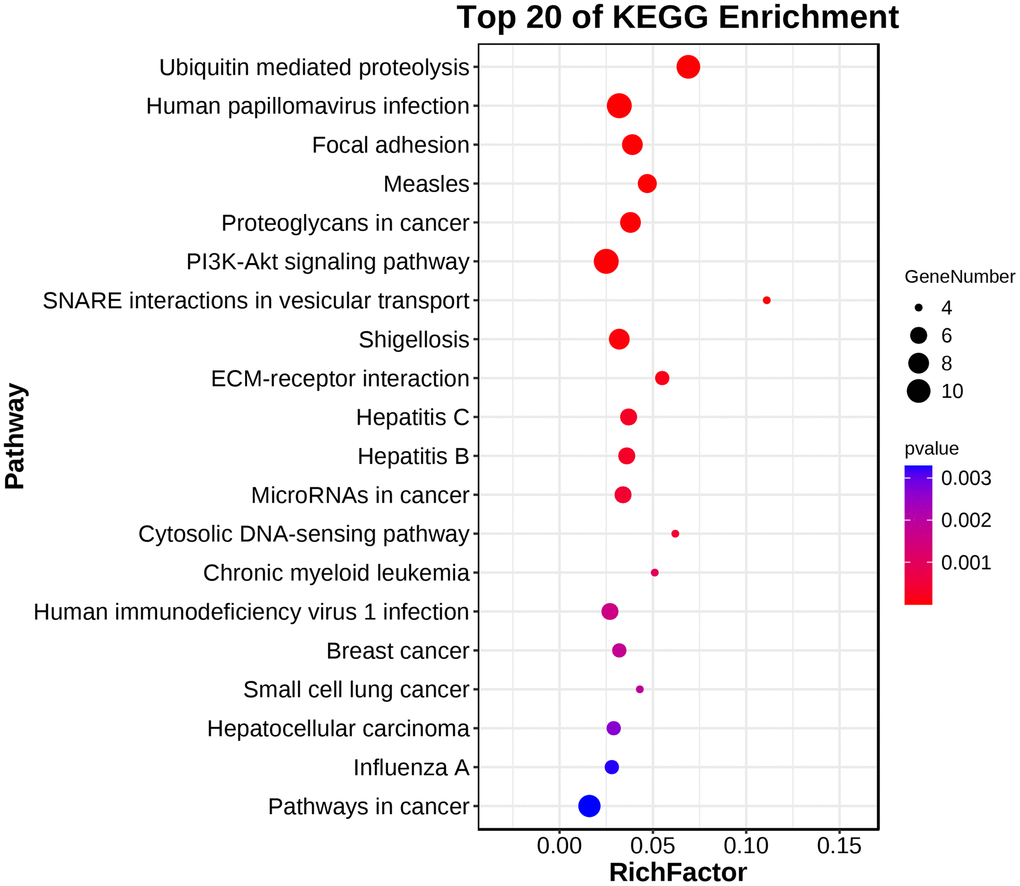 KEGG pathway enrichment analysis demonstrated that the hub gene was enriched in SNARE interactions in vesicular transport and Focal adhesion pathways.