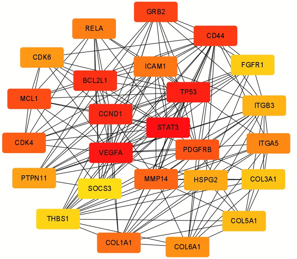 Screening of hub gene. The MCC algorithm in CytoHubba was used to screen hub genes. Node colors from yellow to red indicated higher and more important scores.