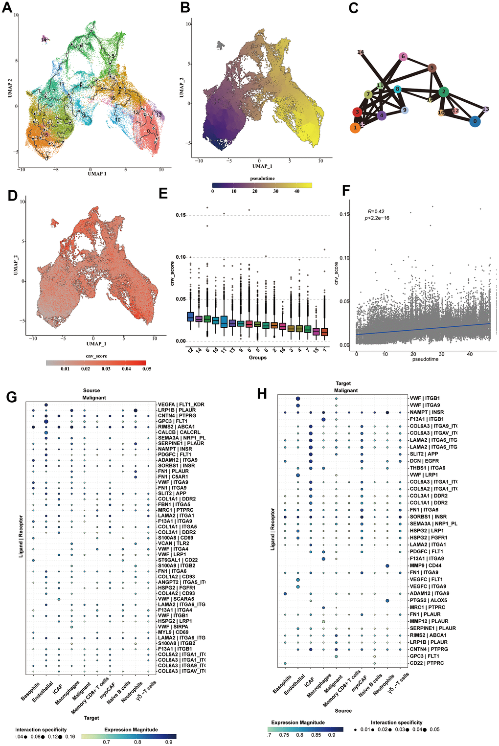 Cell trajectory and cell communication analysis of epithelial cells. (A) The cell trajectory analysis results of epithelial cells. (B) The cell trajectory highlighting the pseudotime results of epithelial cells. (C) The cell trajectory analysis results using lines to connect each subcluster, highlighting the transformation status of each cluster. (D) The CNV 