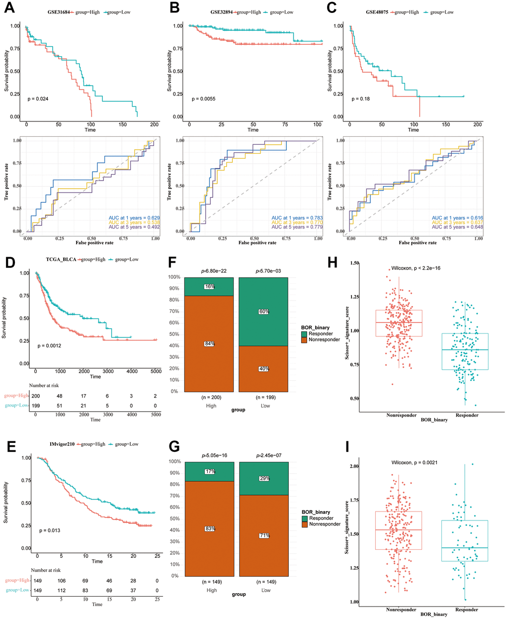 Immunotherapy analysis of BLCA patients. (A–C) The survival analysis and ROC curve analysis in all seven utilized datasets. GSE31684 (A); GSE32894 (B); GSE48074 (C). (D) The survival analysis of the TCGA-BLCA patients of high and low riskscore value, shown in the form of KM curve. (E) The survival analysis of the IMvigor210 cohort of BLCA patients of high and low riskscore value, shown in the form of KM curve. (F) The proportion of responsive and non-responsive patients in different risk groups in TCGA-BLCA patients using the chi-square test. (G) The proportion of responsive and non-responsive patients in different risk groups in IMvigor210 cohort using the chi-square test. (H) The box plot showing risk value of non-responsive and responsive patients in TCGA-BLCA cohort. (I) The box plot showing risk value of non-responsive and responsive patients in IMvigor210 cohort.